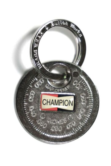 BW-0113 CHAMPION Key Fob CT-481,, small image number 0